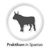 Praktikum in Spanien Praktikum in Spanien